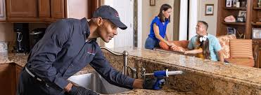 Best Residential Pest Control  in Vassar, MI